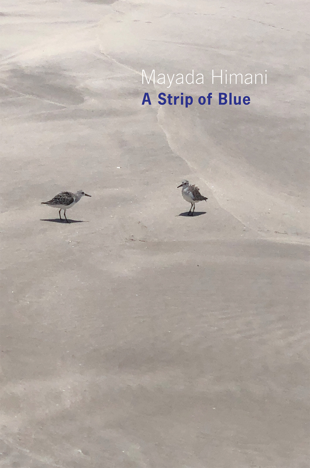 A Strip Of Blue