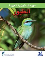 حيوانات الجزيرة العربية : الطيور