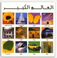 الجمل الذي اختفى