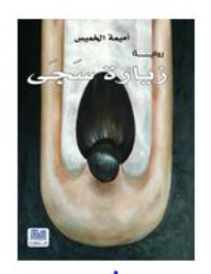 زيارة سجي
