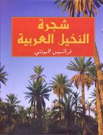Arabian Date Palm